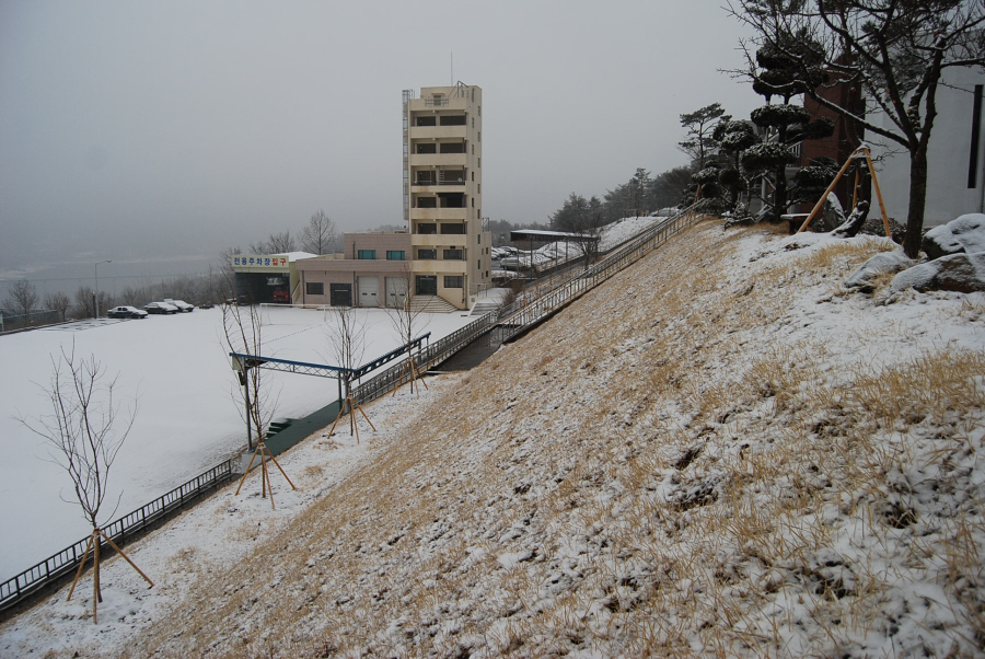 2월의 눈 내린 아침(2008.2)