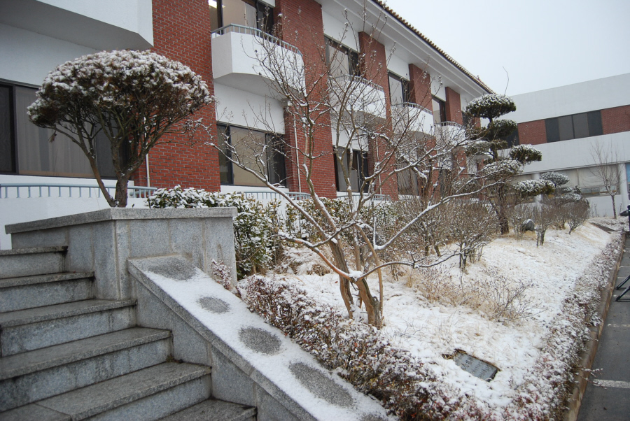 2월의 눈 내린 아침(2008.2) 